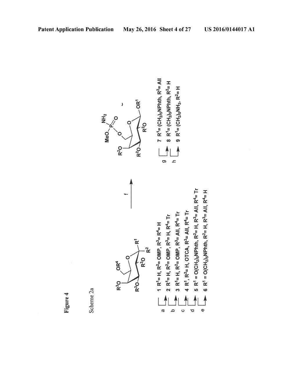 Synthetic Antigen Constructs Against Campylobacter Jejuni - diagram, schematic, and image 05