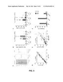 JOHNSON GRASS ALLERGENIC POLLEN PROTEINS, ENCODING NUCLEIC ACIDS AND     METHODS OF USE diagram and image