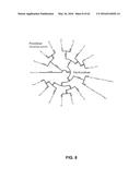 JOHNSON GRASS ALLERGENIC POLLEN PROTEINS, ENCODING NUCLEIC ACIDS AND     METHODS OF USE diagram and image