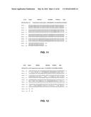 JOHNSON GRASS ALLERGENIC POLLEN PROTEINS, ENCODING NUCLEIC ACIDS AND     METHODS OF USE diagram and image