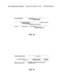 JOHNSON GRASS ALLERGENIC POLLEN PROTEINS, ENCODING NUCLEIC ACIDS AND     METHODS OF USE diagram and image