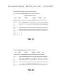 JOHNSON GRASS ALLERGENIC POLLEN PROTEINS, ENCODING NUCLEIC ACIDS AND     METHODS OF USE diagram and image