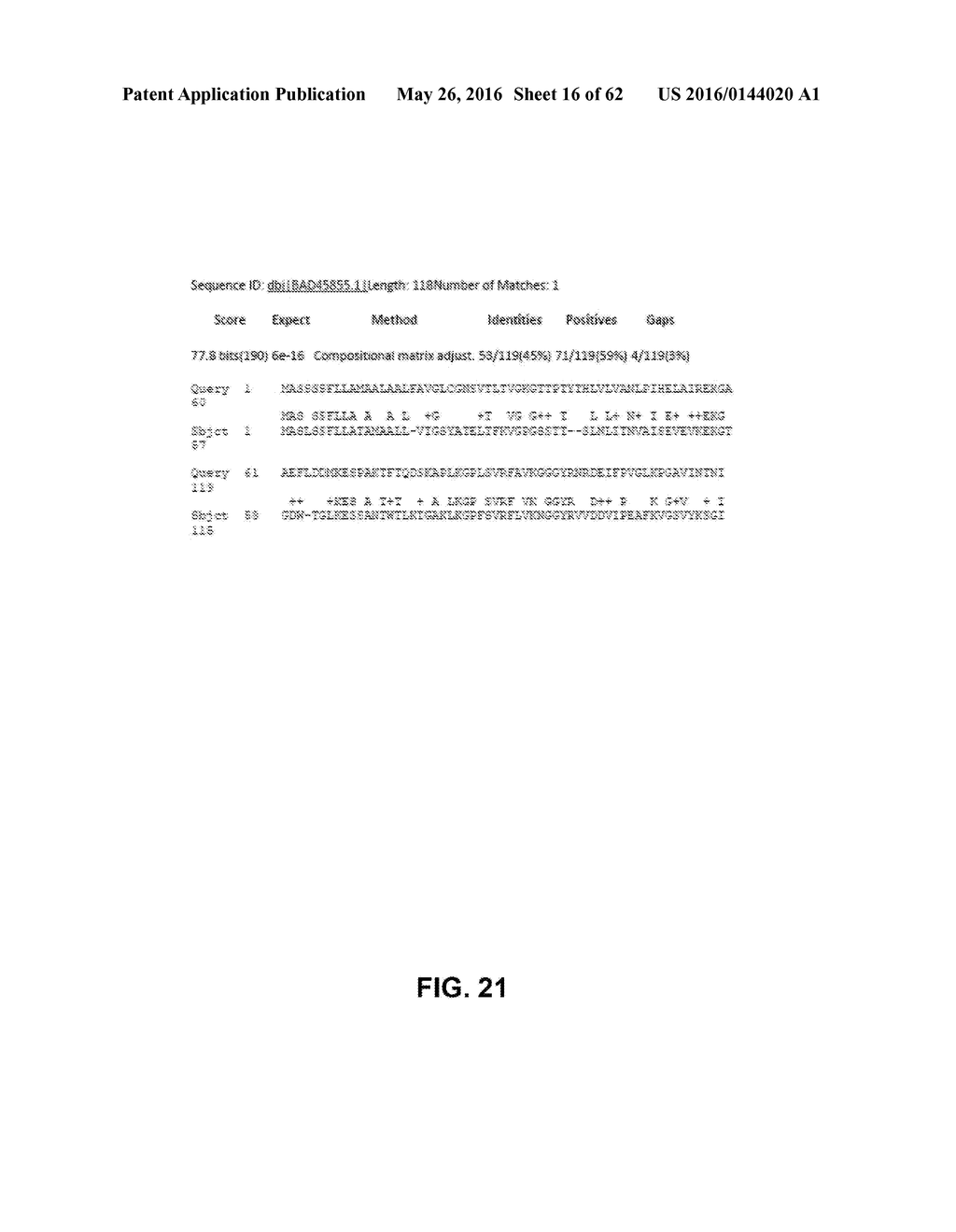 JOHNSON GRASS ALLERGENIC POLLEN PROTEINS, ENCODING NUCLEIC ACIDS AND     METHODS OF USE - diagram, schematic, and image 17