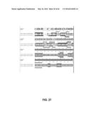 JOHNSON GRASS ALLERGENIC POLLEN PROTEINS, ENCODING NUCLEIC ACIDS AND     METHODS OF USE diagram and image