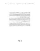 JOHNSON GRASS ALLERGENIC POLLEN PROTEINS, ENCODING NUCLEIC ACIDS AND     METHODS OF USE diagram and image