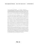 JOHNSON GRASS ALLERGENIC POLLEN PROTEINS, ENCODING NUCLEIC ACIDS AND     METHODS OF USE diagram and image