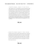 JOHNSON GRASS ALLERGENIC POLLEN PROTEINS, ENCODING NUCLEIC ACIDS AND     METHODS OF USE diagram and image