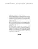 JOHNSON GRASS ALLERGENIC POLLEN PROTEINS, ENCODING NUCLEIC ACIDS AND     METHODS OF USE diagram and image