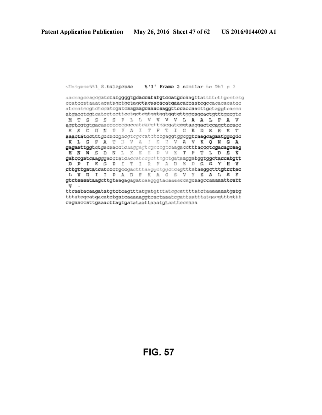 JOHNSON GRASS ALLERGENIC POLLEN PROTEINS, ENCODING NUCLEIC ACIDS AND     METHODS OF USE - diagram, schematic, and image 48