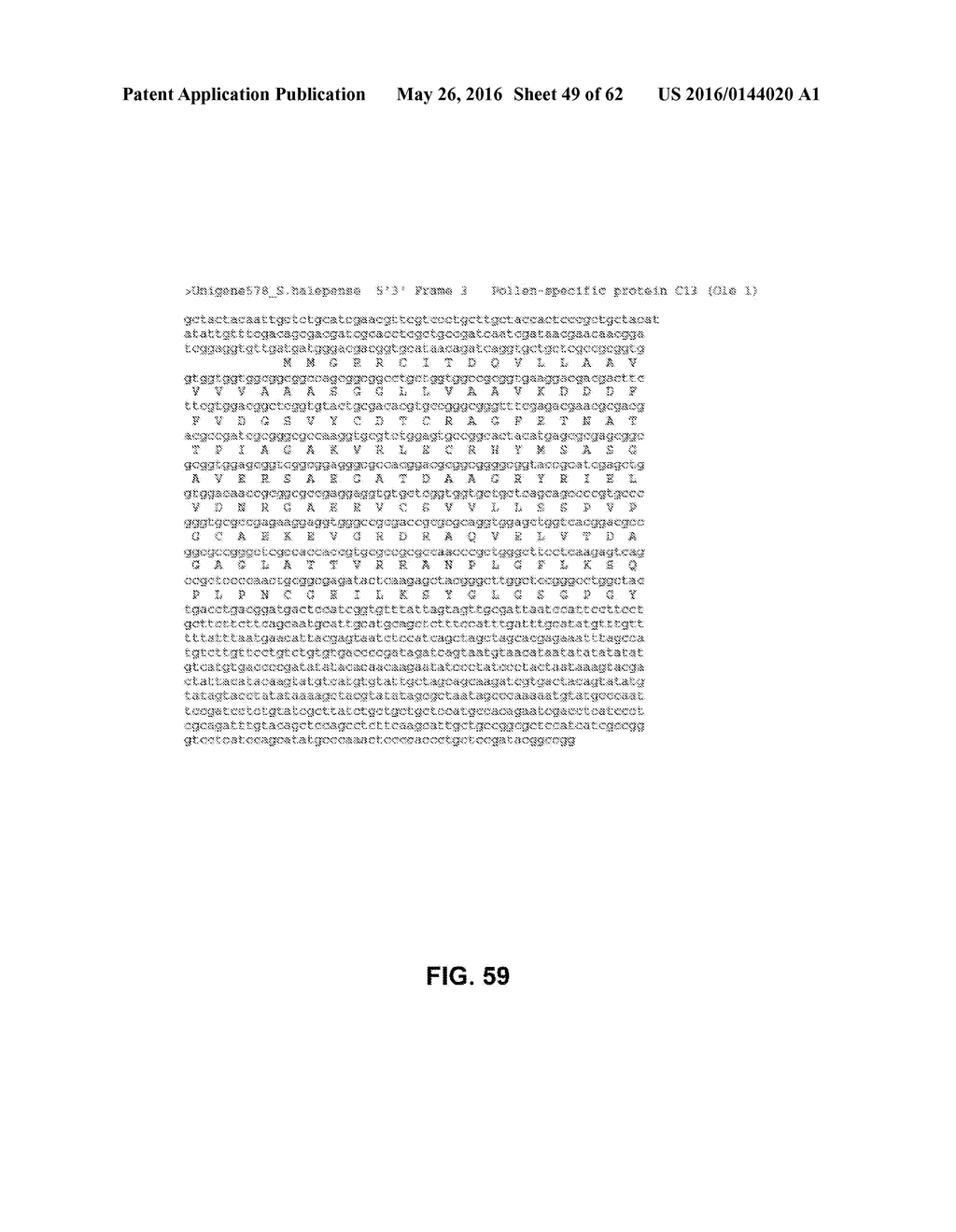 JOHNSON GRASS ALLERGENIC POLLEN PROTEINS, ENCODING NUCLEIC ACIDS AND     METHODS OF USE - diagram, schematic, and image 50