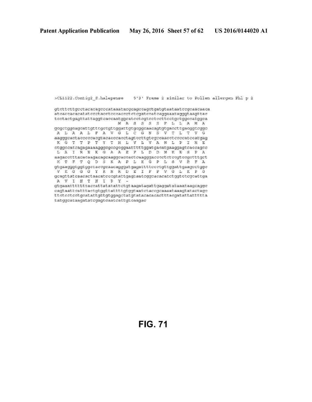 JOHNSON GRASS ALLERGENIC POLLEN PROTEINS, ENCODING NUCLEIC ACIDS AND     METHODS OF USE - diagram, schematic, and image 58