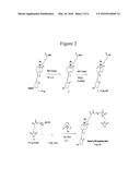 CARRIERS FOR IMPROVED DRUG DELIVERY diagram and image