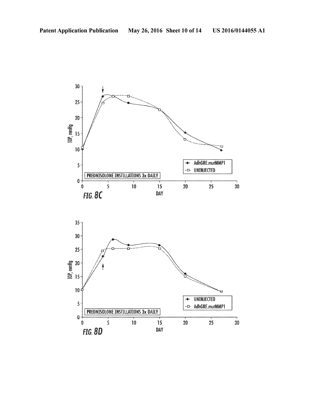 GENE THERAPY VECTOR FOR TREATMENT OF STEROID GLAUCOMA - diagram, schematic, and image 11