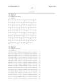 GENE THERAPY VECTOR FOR TREATMENT OF STEROID GLAUCOMA diagram and image