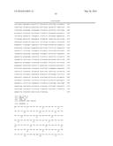 GENE THERAPY VECTOR FOR TREATMENT OF STEROID GLAUCOMA diagram and image