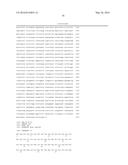 GENE THERAPY VECTOR FOR TREATMENT OF STEROID GLAUCOMA diagram and image