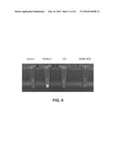 IR DYES FOR FLUORESCENCE IMAGING diagram and image