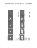 IR DYES FOR FLUORESCENCE IMAGING diagram and image