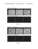 MICROBUBBLE TETHER FOR DIAGNOSTIC AND THERAPEUTIC APPLICATIONS diagram and image