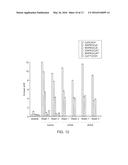 MICROBUBBLE TETHER FOR DIAGNOSTIC AND THERAPEUTIC APPLICATIONS diagram and image