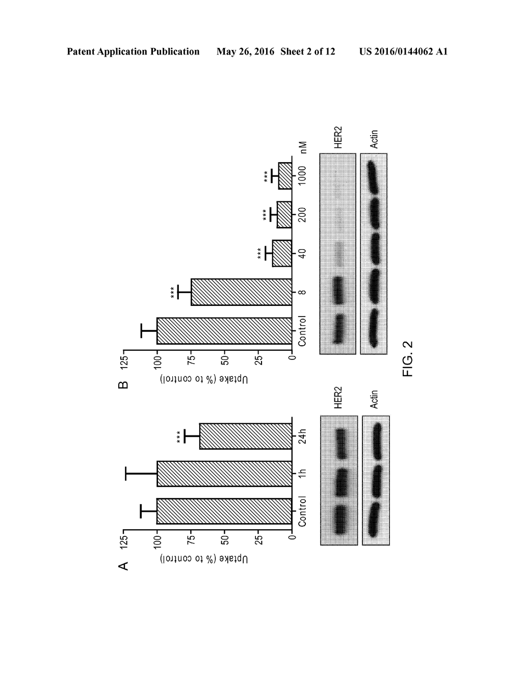 USE OF HER2 BINDERS - diagram, schematic, and image 03