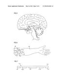 NEURAL BLOCKING THERAPY diagram and image