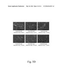 GRAPHENE FILTERING SHEET AND METHOD OF FABRICATING THE SAME diagram and image