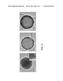 HIGH-SURFACE AREA FUNCTIONAL MATERIAL COATED STRUCTURES diagram and image