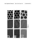 HIGH-SURFACE AREA FUNCTIONAL MATERIAL COATED STRUCTURES diagram and image