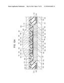 CAPACITIVE TRANSDUCER AND SAMPLE INFORMATION ACQUISITION APPARATUS diagram and image