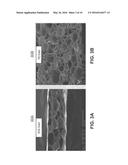 COATED COMPRESSIVE SUBPAD FOR CHEMICAL MECHANICAL POLISHING diagram and image