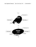 METHOD OF MANUFACTURING POLARIZING PLASTIC LENS diagram and image