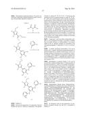 HETEROARYL SUBSTITUTED PYRAZOLES diagram and image