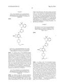 CERTAIN PROTEIN KINASE INHIBITORS diagram and image