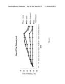 NUCLEAR TRANSPORT MODULATORS AND USES THEREOF diagram and image