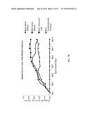 NUCLEAR TRANSPORT MODULATORS AND USES THEREOF diagram and image