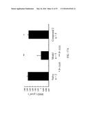 NUCLEAR TRANSPORT MODULATORS AND USES THEREOF diagram and image