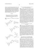 NUCLEAR TRANSPORT MODULATORS AND USES THEREOF diagram and image