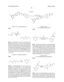 NUCLEAR TRANSPORT MODULATORS AND USES THEREOF diagram and image