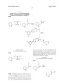 NUCLEAR TRANSPORT MODULATORS AND USES THEREOF diagram and image