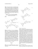 NUCLEAR TRANSPORT MODULATORS AND USES THEREOF diagram and image