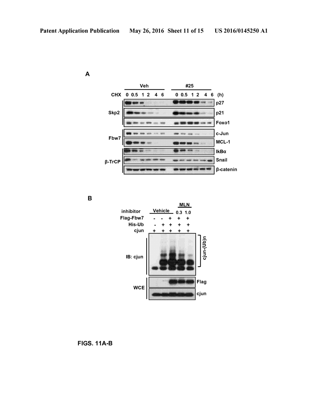 ANTI-CANCER COMPOUNDS - diagram, schematic, and image 12