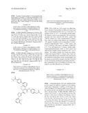 TETRAHYDROISOQUINOLINES CONTAINING SUBSTITUTED AZOLES AS FACTOR XIA     INHIBITORS diagram and image