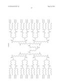 Dendrimer Scaffolds for Pharmaceutical Use diagram and image