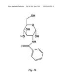 Therapeutic Monosaccharide-Based Inhibitors of Hexokinase and Glucokinase     for Parasitic Diseases, Along with Methods of their Formation and Use diagram and image