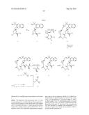 MACROCYCLIC PROLINE DERIVED HCV SERINE PROTEASE INHIBITORS diagram and image