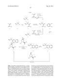 MACROCYCLIC PROLINE DERIVED HCV SERINE PROTEASE INHIBITORS diagram and image