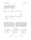 MACROCYCLIC PROLINE DERIVED HCV SERINE PROTEASE INHIBITORS diagram and image