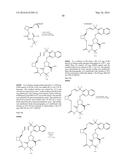 MACROCYCLIC PROLINE DERIVED HCV SERINE PROTEASE INHIBITORS diagram and image