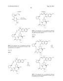 MACROCYCLIC PROLINE DERIVED HCV SERINE PROTEASE INHIBITORS diagram and image